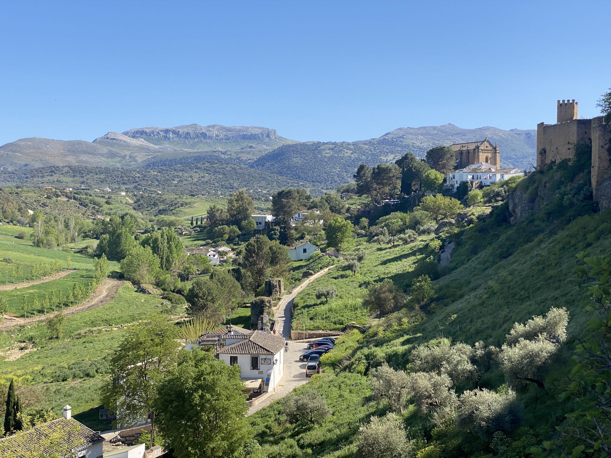 3055 Ronda loop