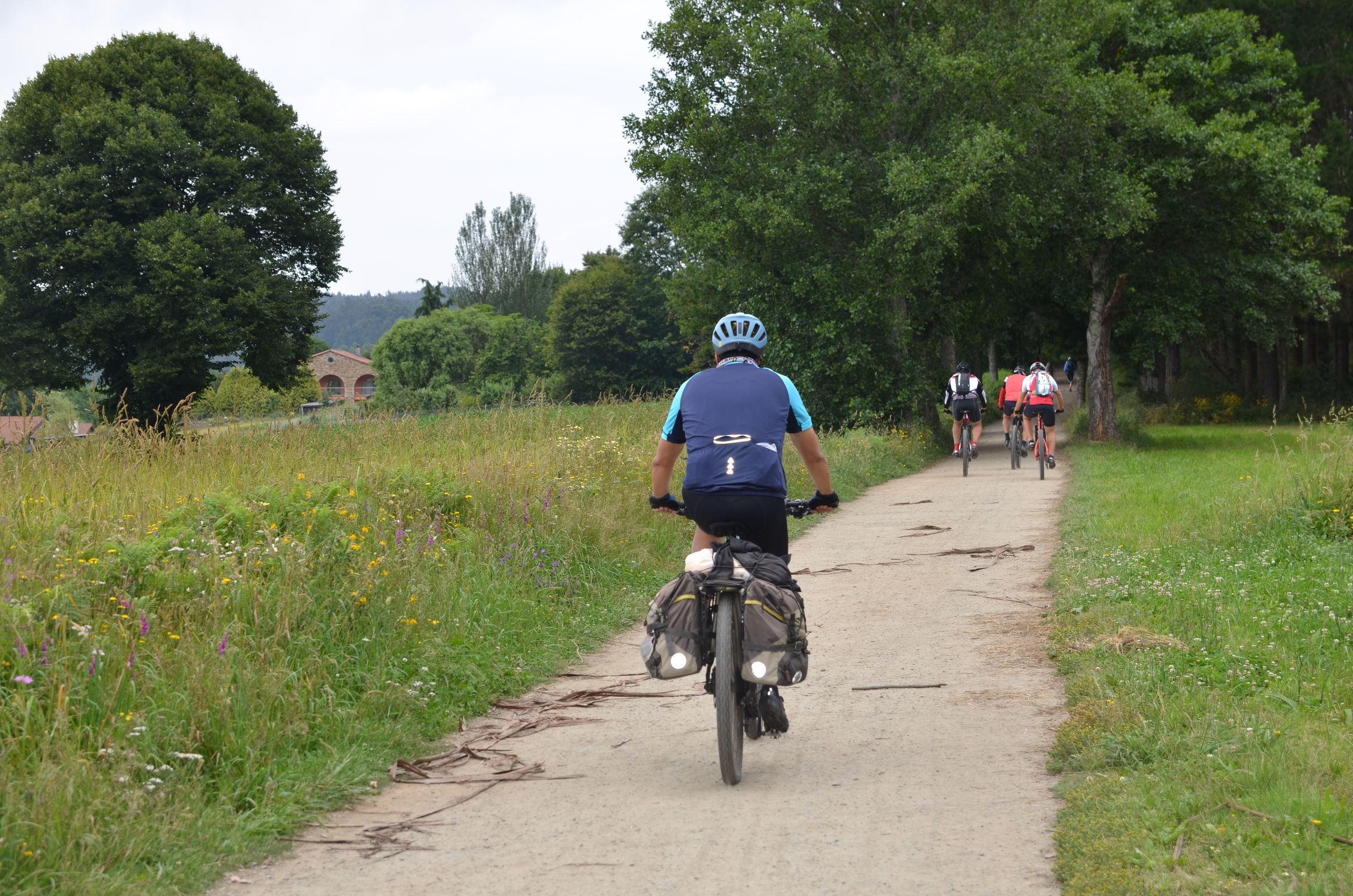 T32T Camino Frances peregrinos bicicletas alforjas paisaje arboles 3060