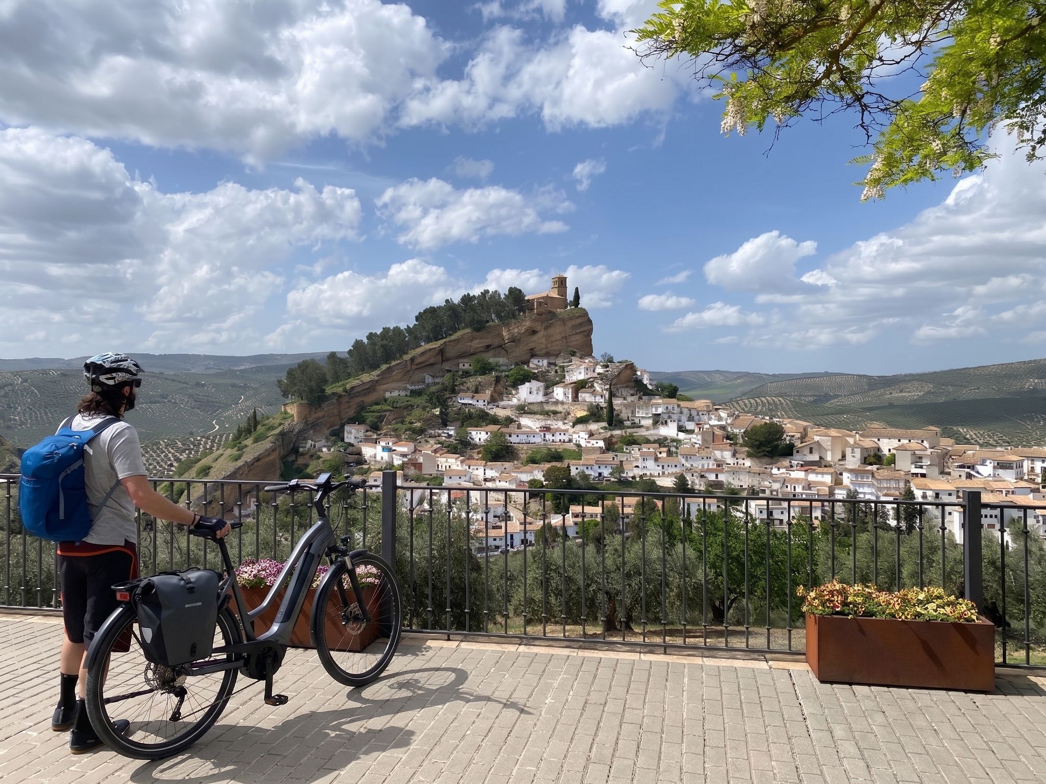 montefrio 3065